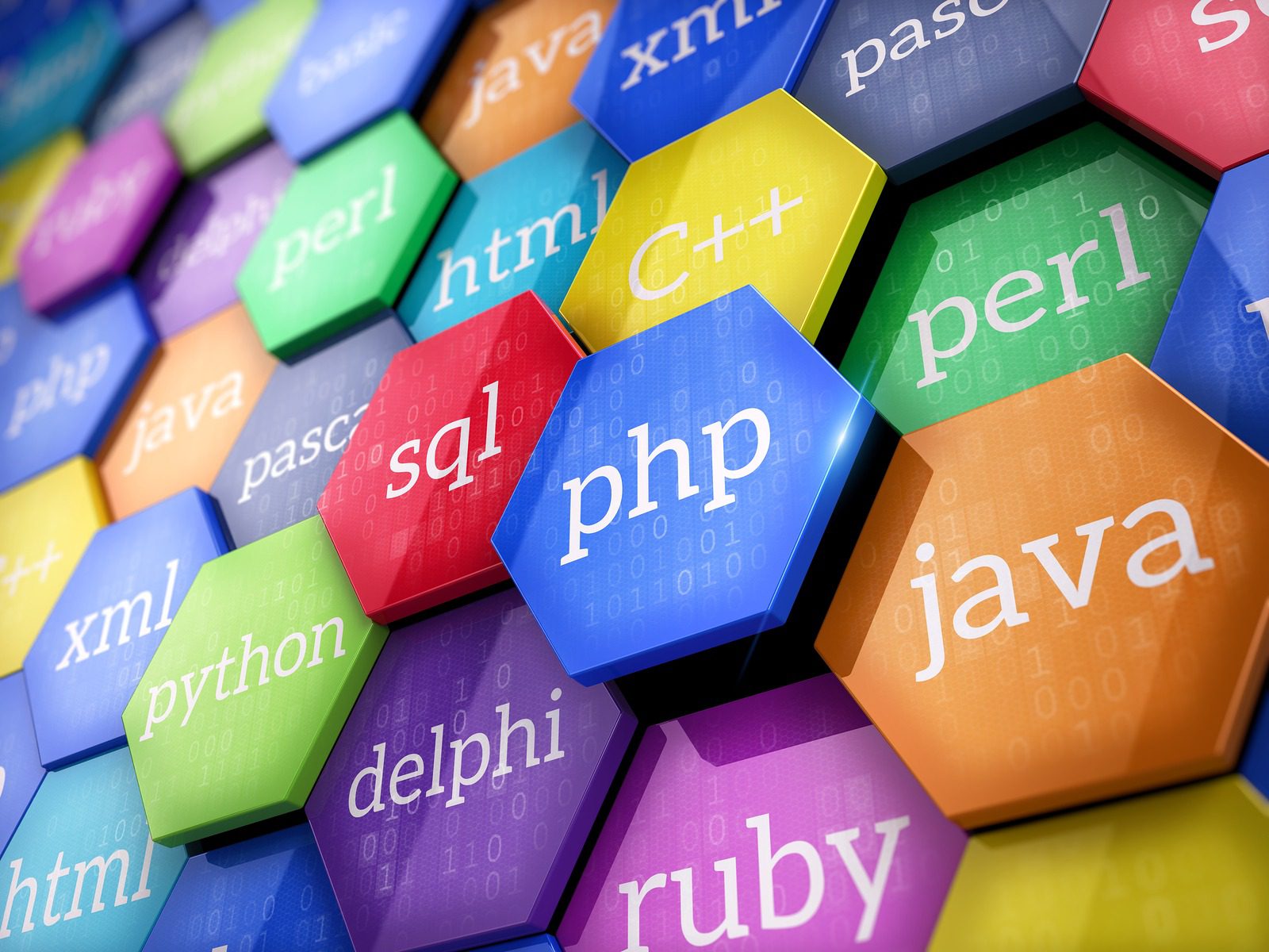 10 Best Business Programming Languages For Majors to Learn