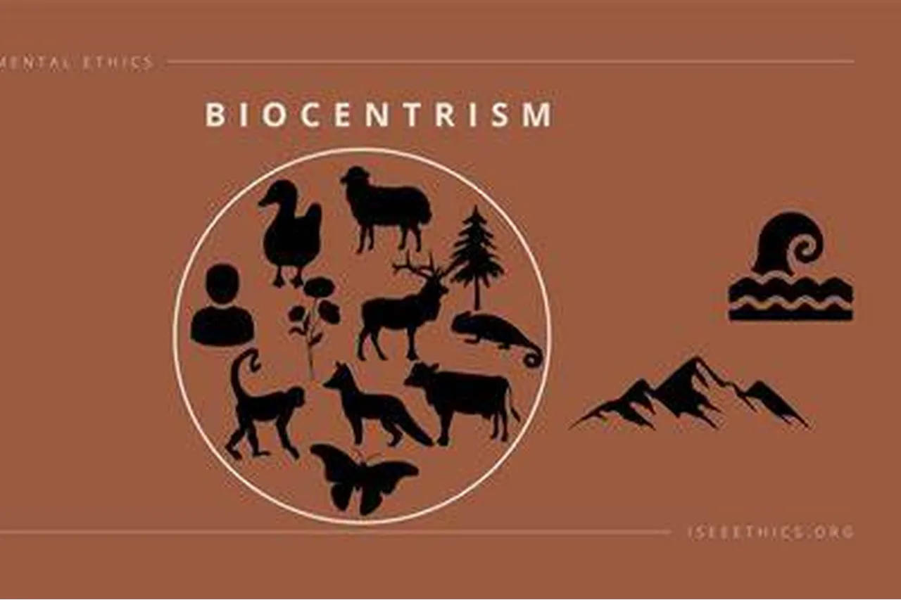 Main Criticisms of Biocentrism