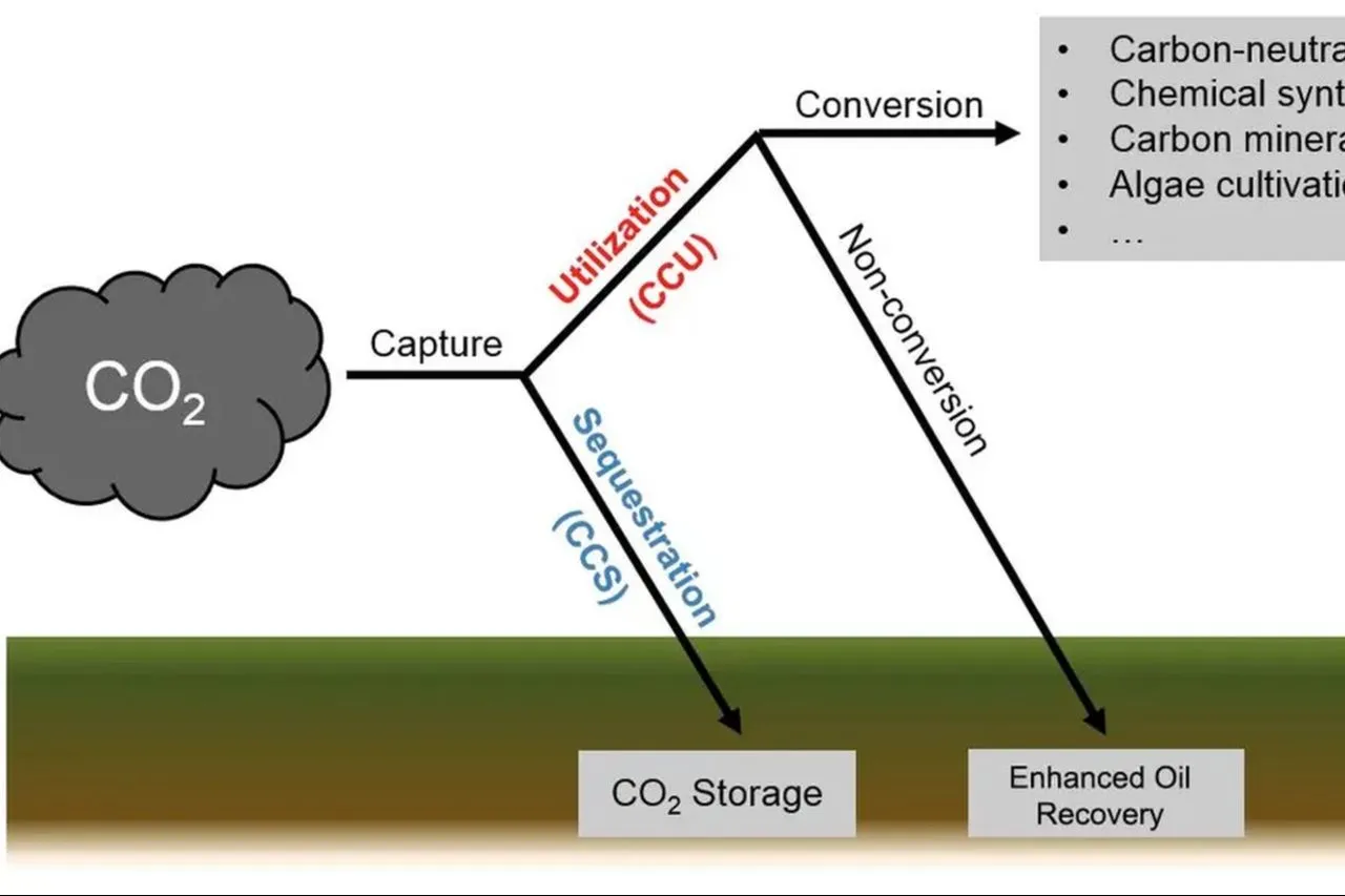 Cảbon Capture and Storage (CCS) A Path to Carbon Neutrality