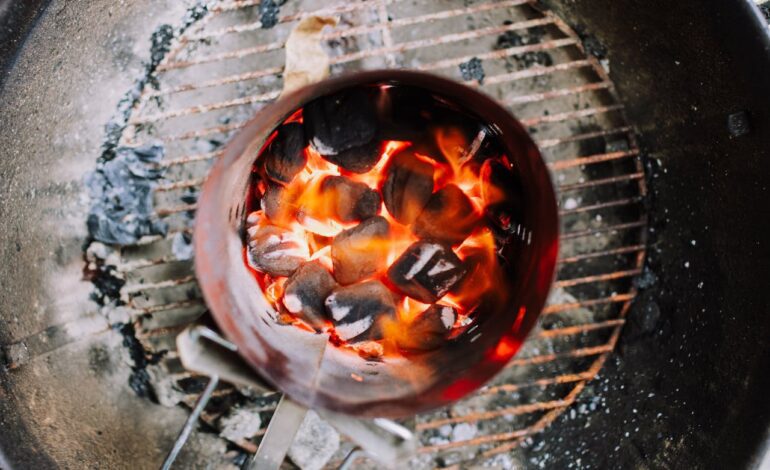 Briquettes vs. Oak Logs: Understanding the Best Fuel for Your Fire