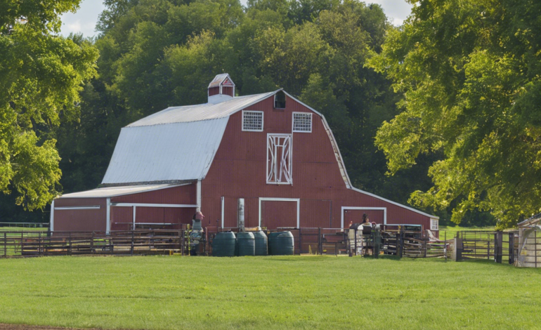 Exploring Good Day Farms Kennett: A Rural Gem for Nature Lovers