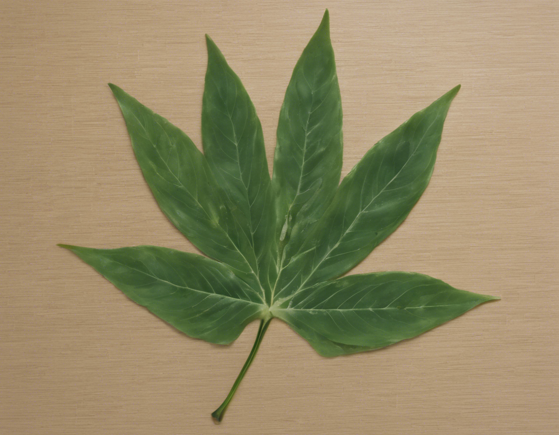 The Zen Leaf Elkridge Dispensary: Your Guide to Wellness.